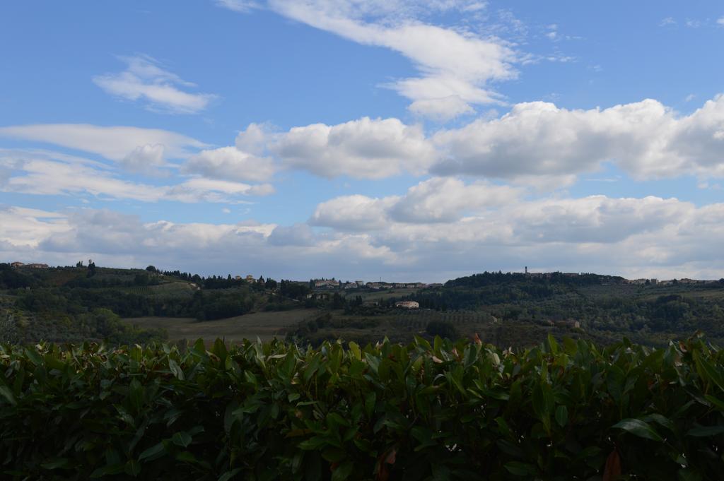 Oliveta Lägenhet Tavarnelle Val di Pesa Rum bild